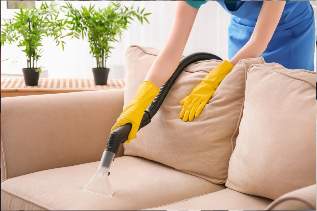 Koltuk Sandalye Temizliği